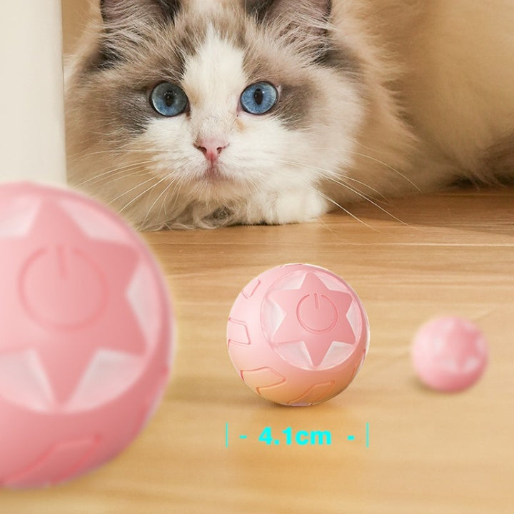 Pet Rolling Ball Self Moving Bite Resistant Interactive Toy