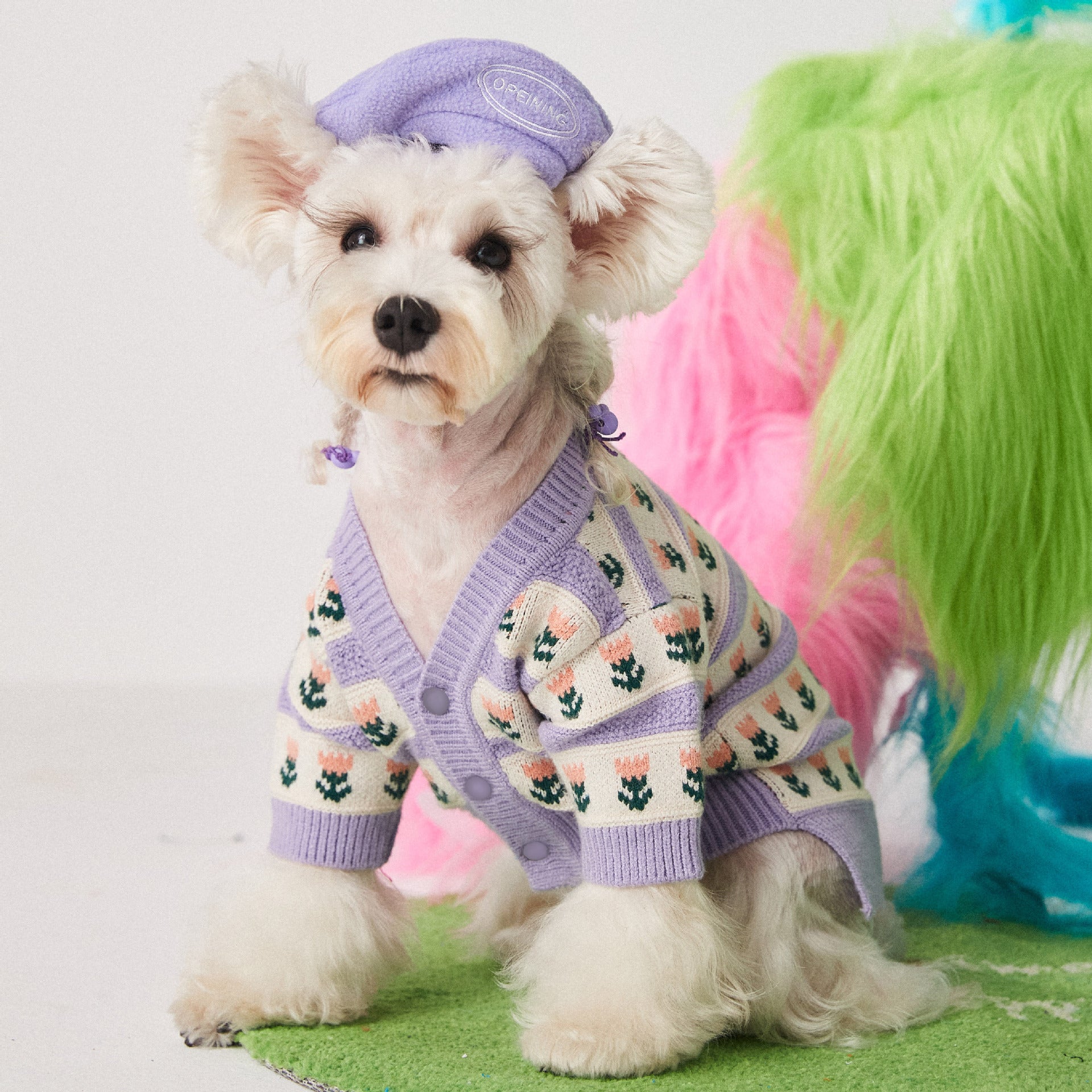Purple Flower Pet Sweater Cardigan Cozy Clothing Outfit