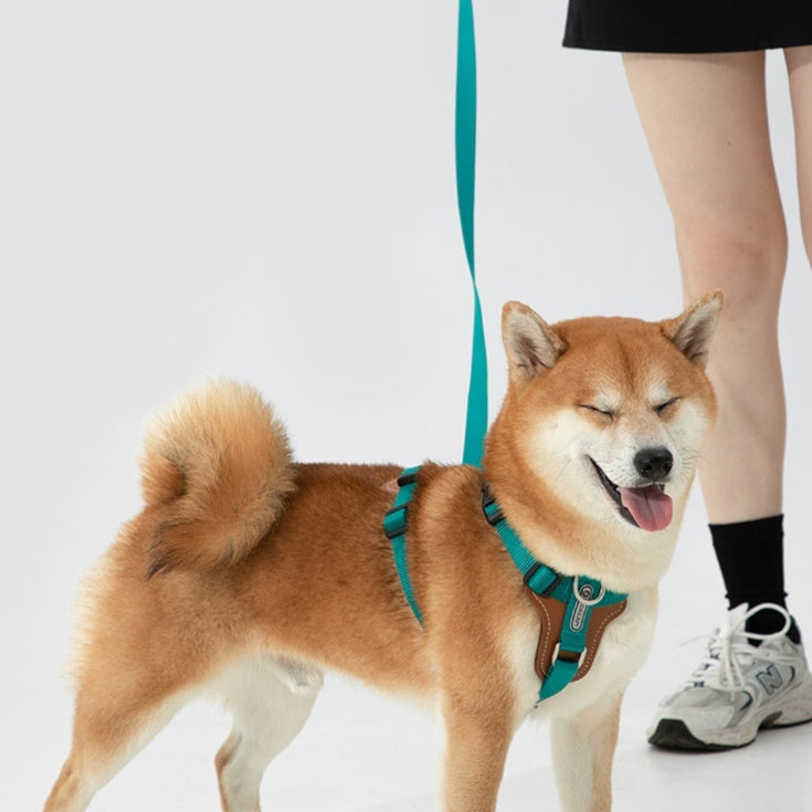 Multifunctional Pet Rope Leash Chest Strap Explosion Proof Harness Lead