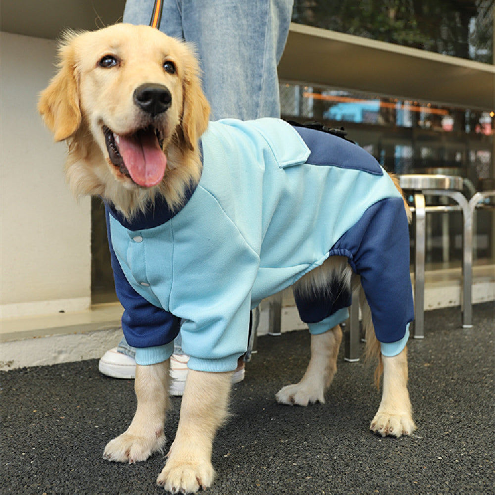 Fashion Four Legged Warm Pet Sweater Outfit
