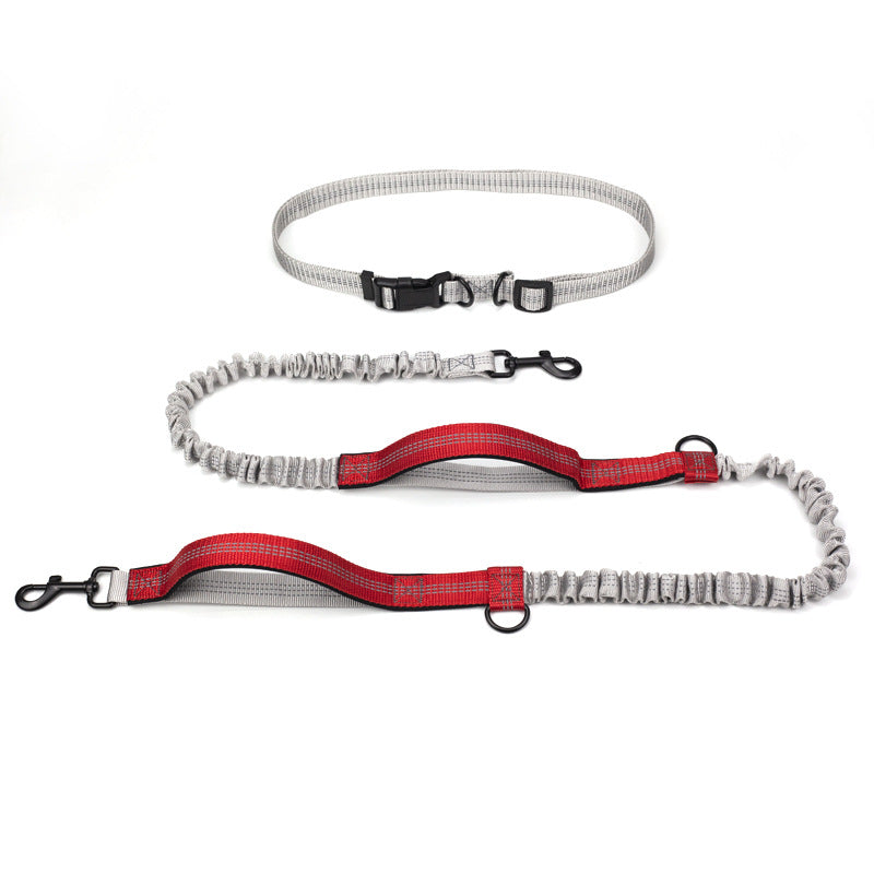 Outdoor Running Pet Training Leash Supplies