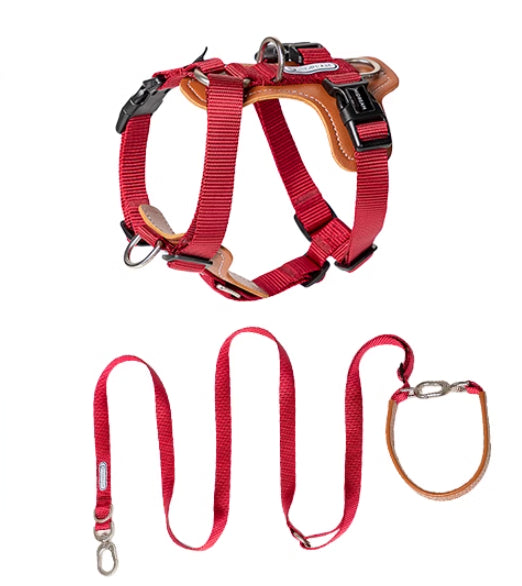 Multifunctional Pet Rope Leash Chest Strap Explosion Proof Harness Lead