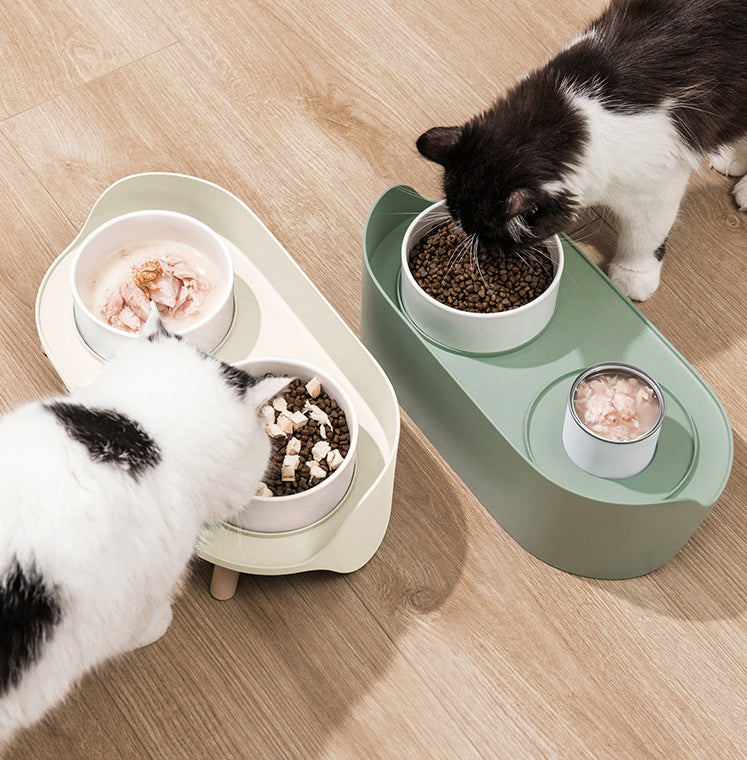 Adjustable Tilted Double Bowl Spill-Proof Pet Feeding Dish Supplies