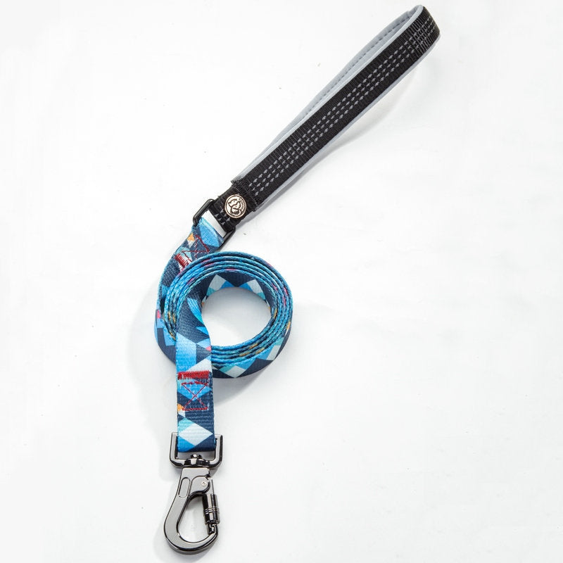 Pet supplies leash
