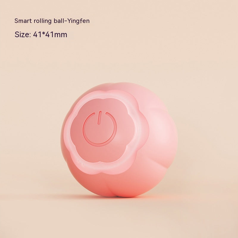 Pet Rolling Ball Self Moving Bite Resistant Interactive Toy