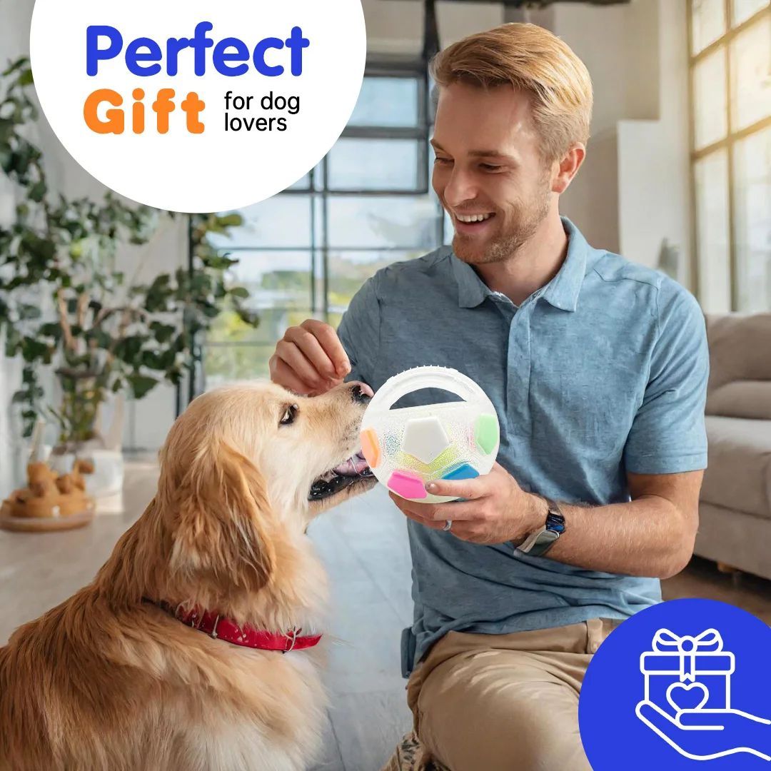 Pet Football Tennis Ball Shaped Durable Squeaky Training Toy