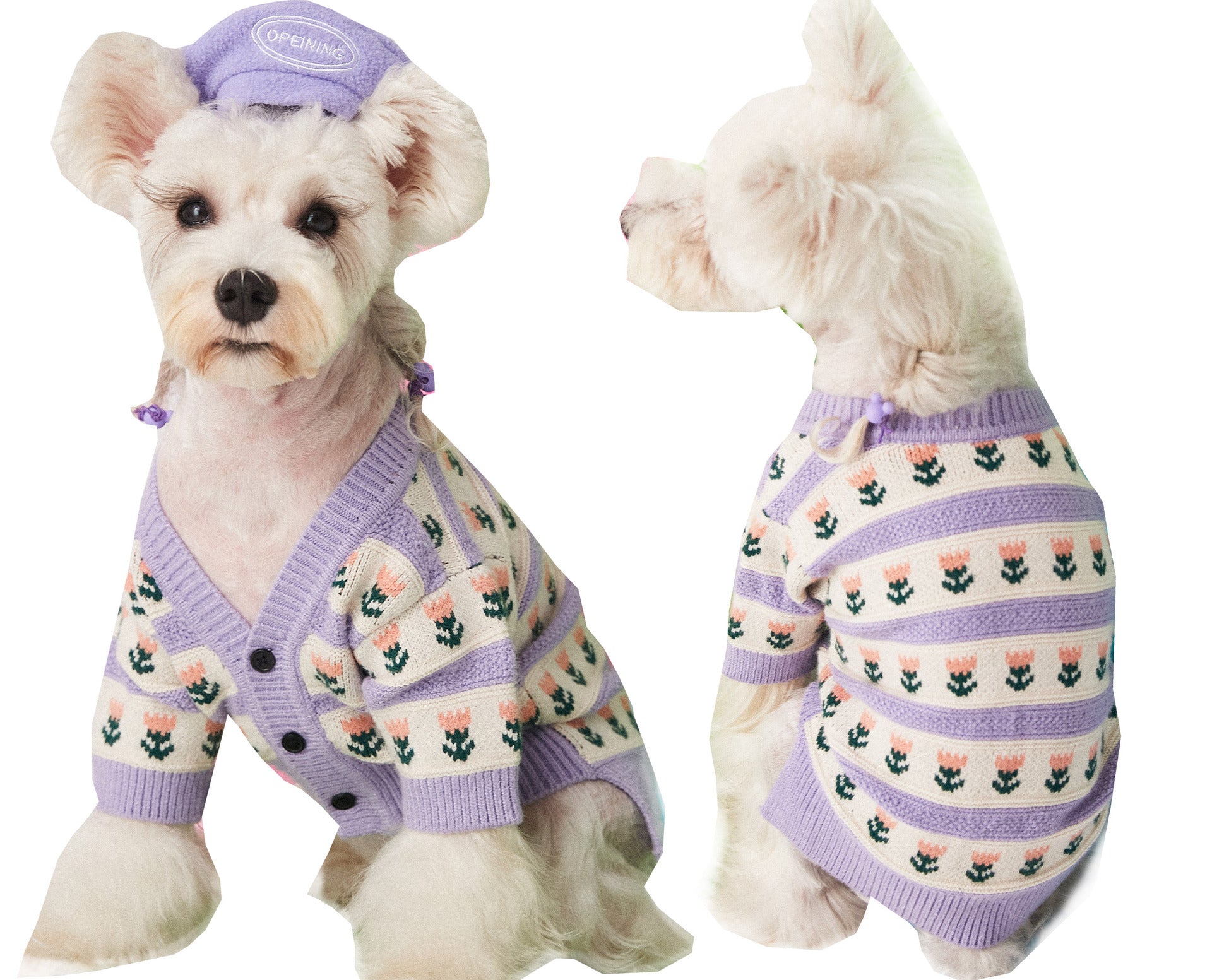 Purple Flower Pet Sweater Cardigan Cozy Clothing Outfit