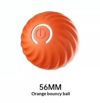 Pet Bite Resistant Rubber Ball Chew Training Toy