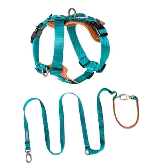 Multifunctional Pet Rope Leash Chest Strap Explosion Proof Harness Lead