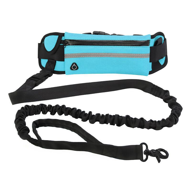 Pet Purse Style Walking Training Leash
