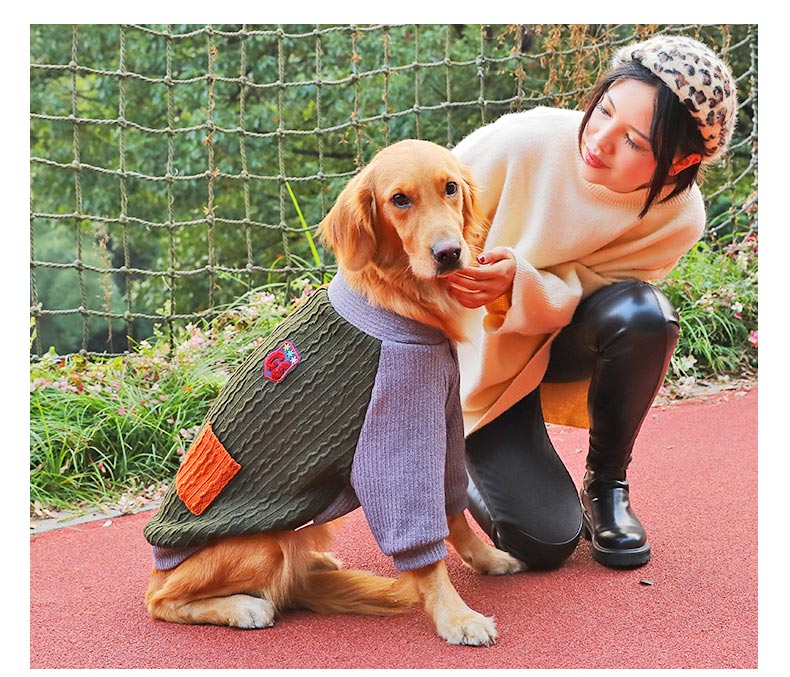 Thickened Winter Pet Sweater Warm Clothing Outfit