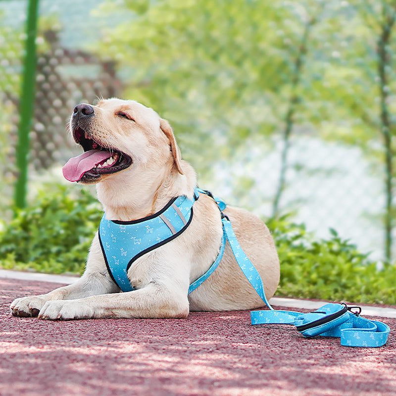 Bow Design Pet Harness With Leash Set