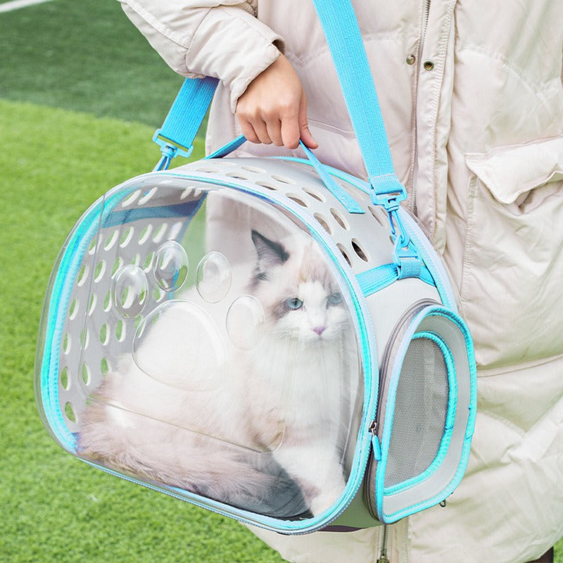 Pet Transparent Bag Space Capsule Backpack