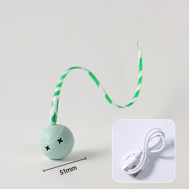 Pet Interactive Electric Motion Sensor Ball Toy Supplies