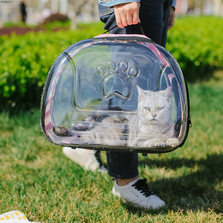 Portable Transparent Pet Backpack Travel Carrier Bag