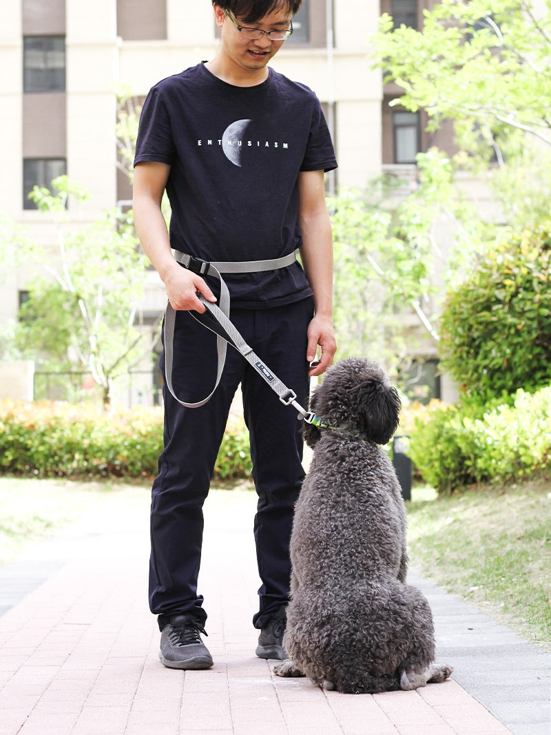 1.8M Multifunctional Pet Training Running Traction Leash
