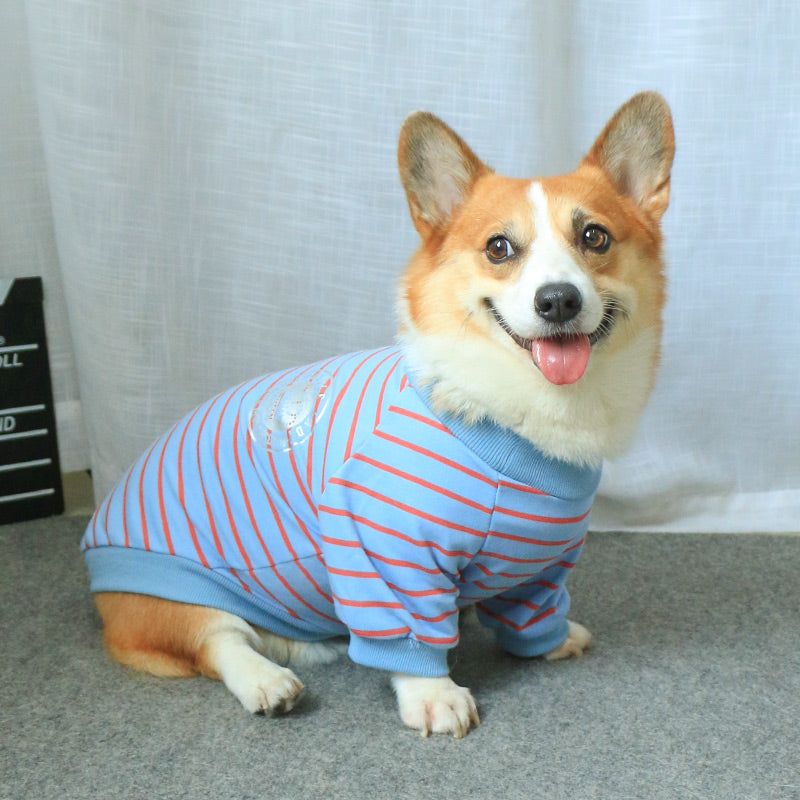 Pet Sweater Parent Child Matching Clothing Set