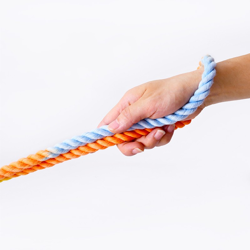 Multi-Functional Dual Head Pet Training Leash