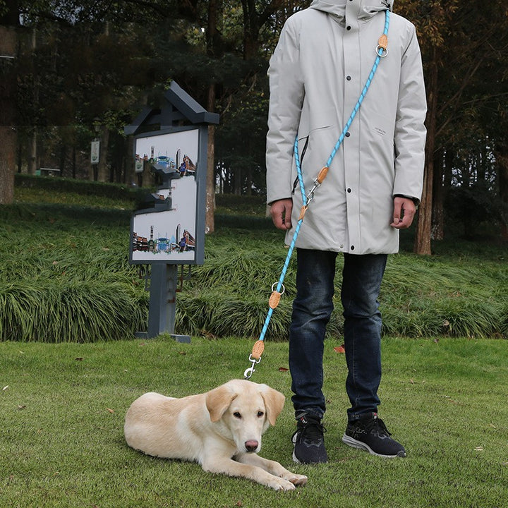 Multifunctional Hook Chain Leather Pet Training Leash
