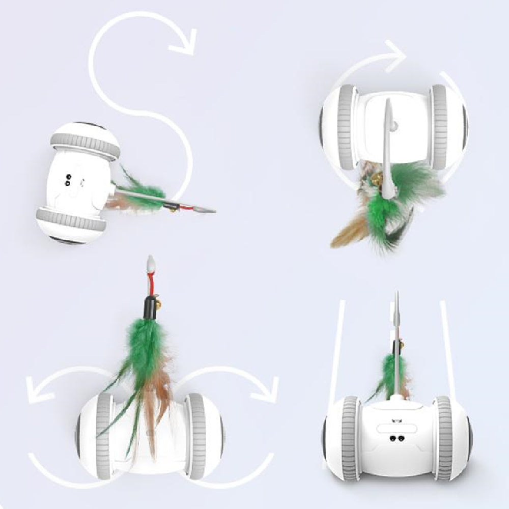 Pet Interactive Feather Toy With Interchangeable Heads