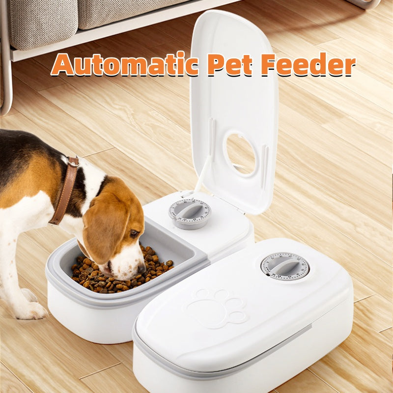 Smart Automatic Pet Feeding Dispenser Timer Stainless Steel Bowl Supplies