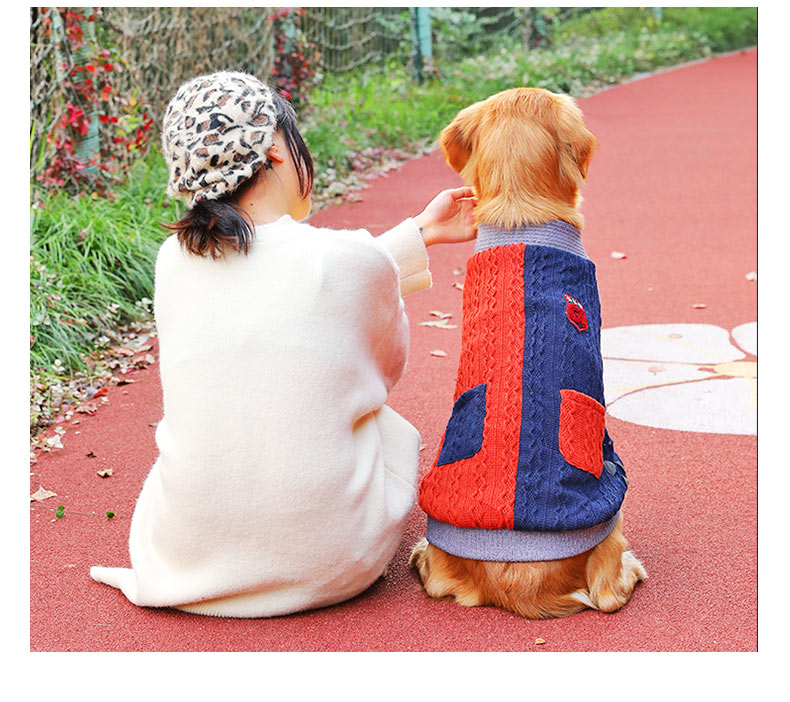 Thickened Winter Pet Sweater Warm Clothing Outfit