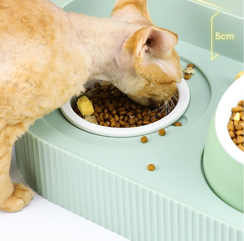 Ceramic Pet Feeding Bowl Neck Protection Design