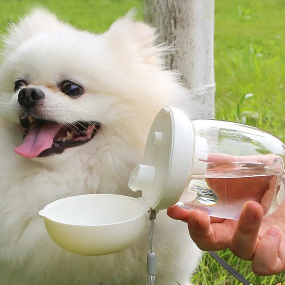 Portable Pet Water Bottle Travel Drinking Bowl Lanyard Supplies