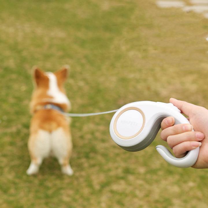 Automatic Retractable Pet Training Leash Supplies