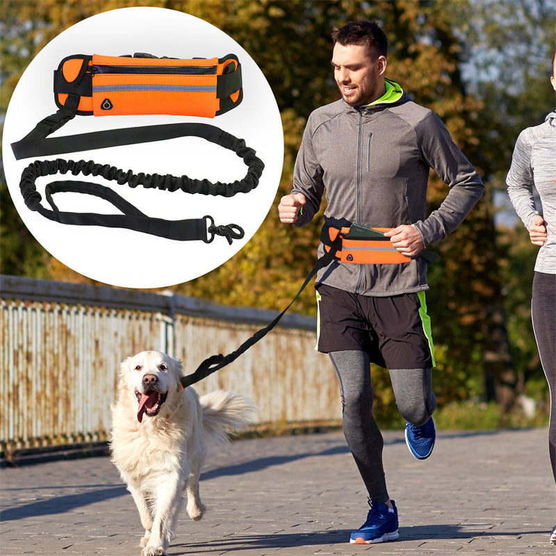Pet Purse Style Walking Training Leash