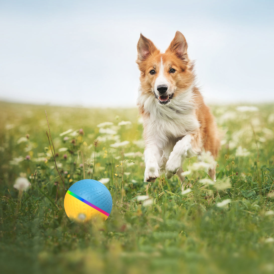 Pet Bite Resistant Remote Control Interactive Intelligent Ball Toy