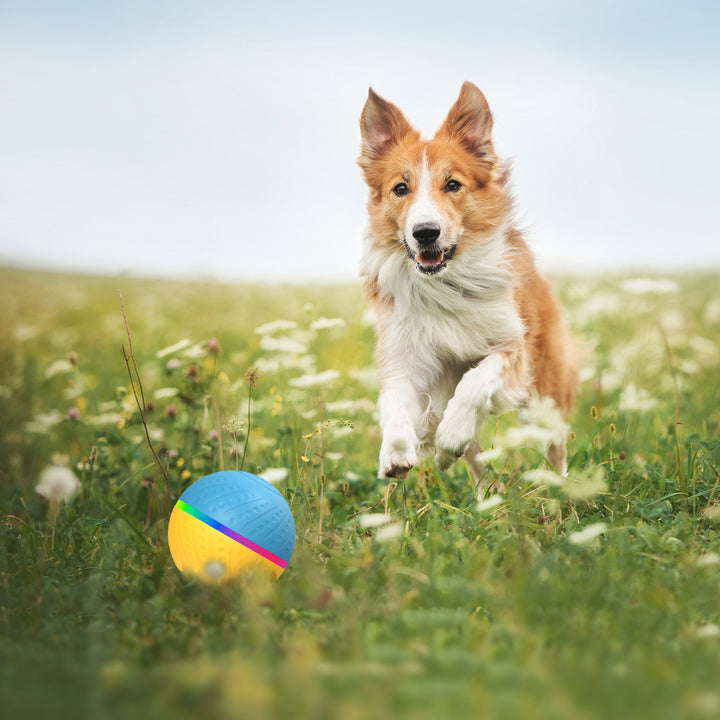 Pet Bite Resistant Remote Control Interactive Intelligent Ball Toy