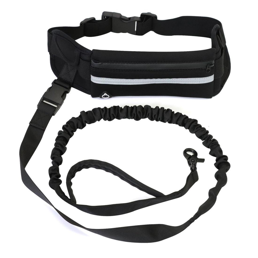 Pet Purse Style Walking Training Leash