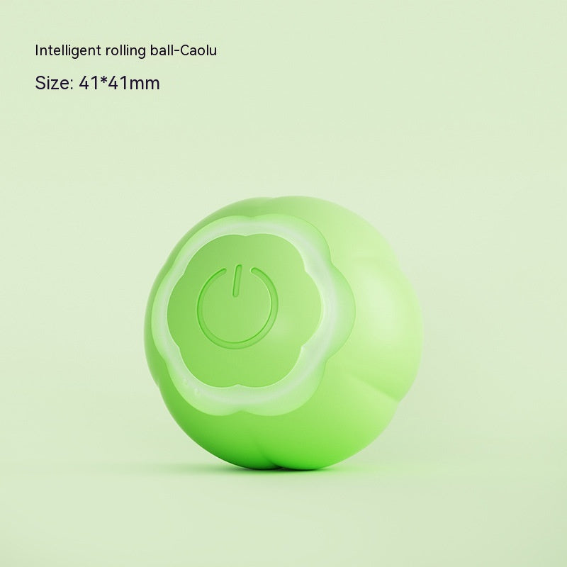 Pet Rolling Ball Self Moving Bite Resistant Interactive Toy