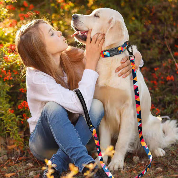 Anti-Lost Handheld Rope Pet Training Walking Leash Supplies