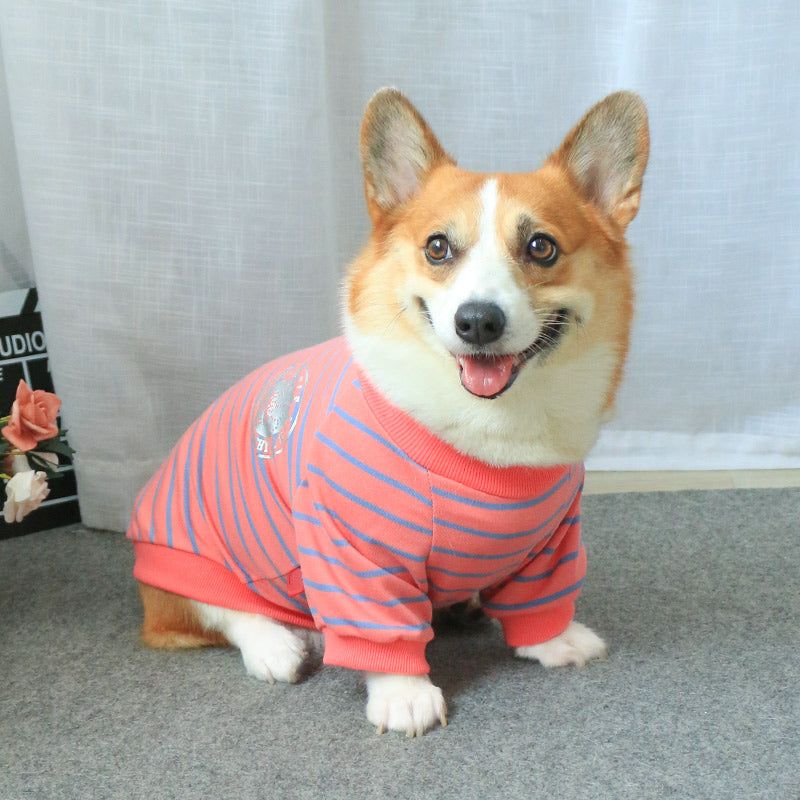 Pet Sweater Parent Child Matching Clothing Set