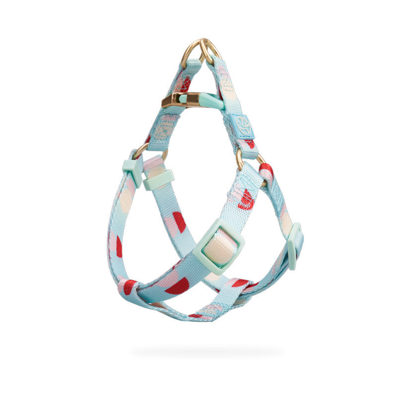 Fashion Y-Shaped Chest Strap Pet Training Leash Supplies