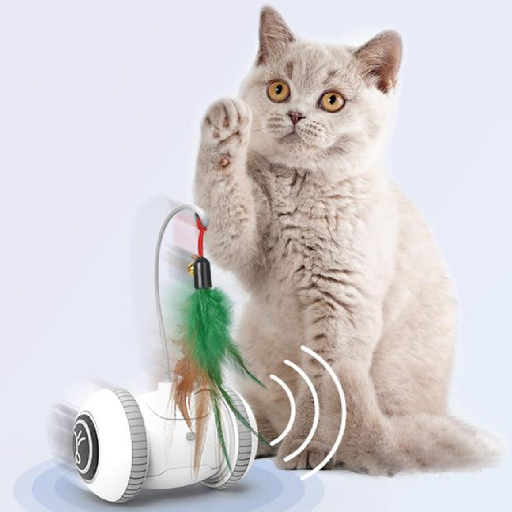 Pet Interactive Feather Toy With Interchangeable Heads
