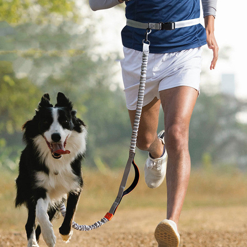 Outdoor Running Pet Training Leash Supplies